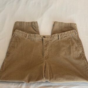 IZOD Tailgate Straight Leg Corduroy Pants Dark Buttercream 42x26